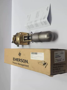 EMERSON S01DB/F185 Level switch